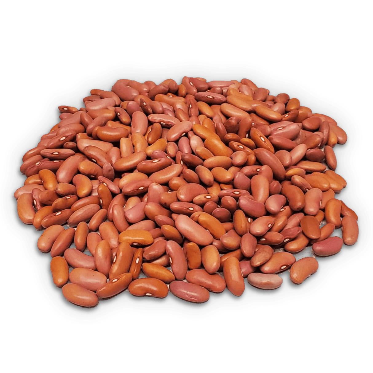 Light Kidney Beans
